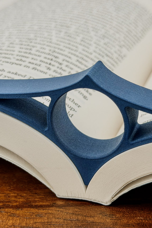 A Reading Ray holding open a book.