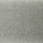 Reading Ray Stardust Silver Glitter